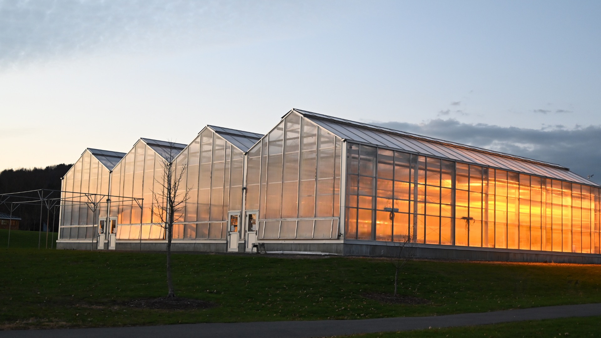 Green houses CANR