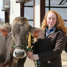 student holding dairy cow by her halter